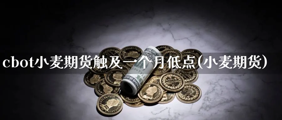 cbot小麦期货触及一个月低点(小麦期货)_https://www.tian1ad.com_黄金期货_第1张