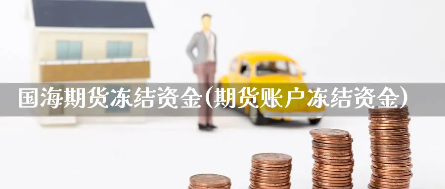 国海期货冻结资金(期货账户冻结资金)_https://www.tian1ad.com_期货学院_第1张
