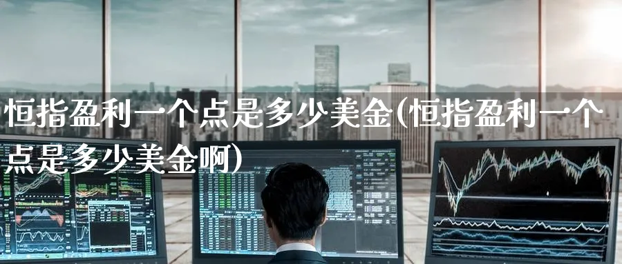 恒指盈利一个点是多少美金(恒指盈利一个点是多少美金啊)_https://www.tian1ad.com_期货学院_第1张