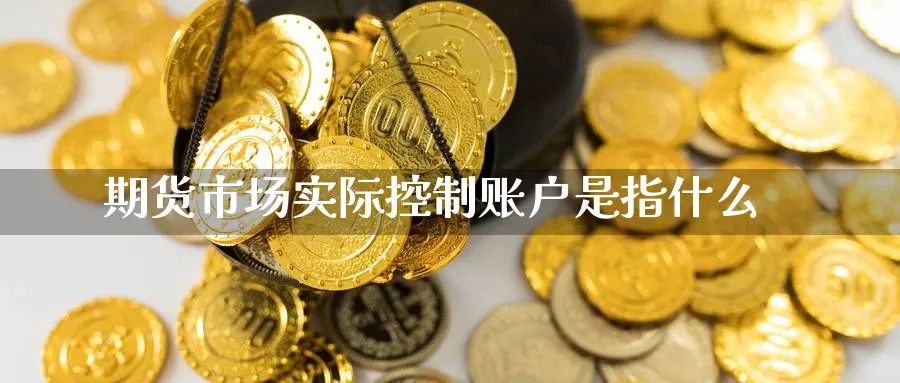 期货市场实际控制账户是指什么_https://www.tian1ad.com_期货学院_第1张