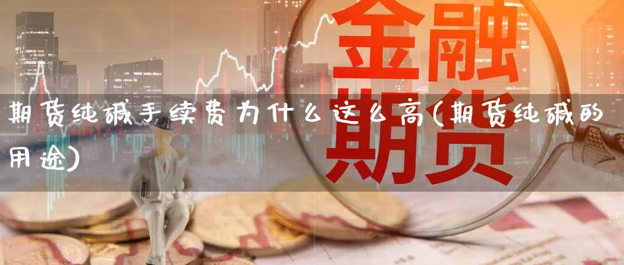 期货纯碱手续费为什么这么高(期货纯碱的用途)_https://www.tian1ad.com_黄金期货_第1张