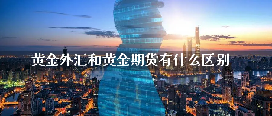 黄金外汇和黄金期货有什么区别_https://www.tian1ad.com_黄金期货_第1张