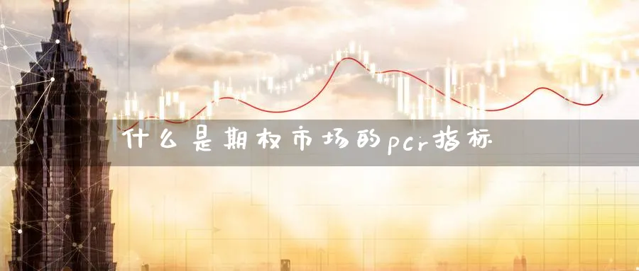 什么是期权市场的pcr指标_https://www.tian1ad.com_期货学院_第1张