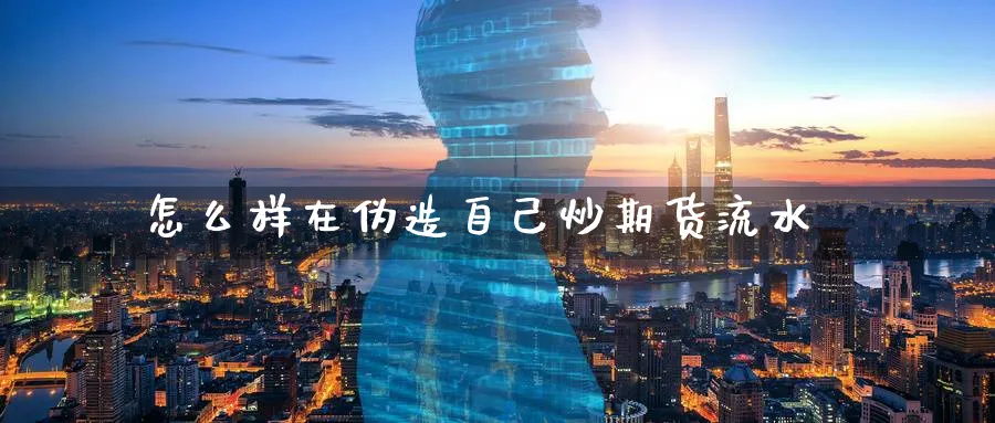 怎么样在伪造自己炒期货流水_https://www.tian1ad.com_铜期货_第1张