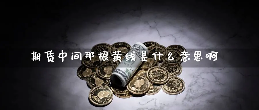 期货中间那根黄线是什么意思啊_https://www.tian1ad.com_期货学院_第1张