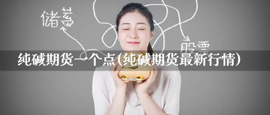 纯碱期货一个点(纯碱期货最新行情)_https://www.tian1ad.com_黄金期货_第1张