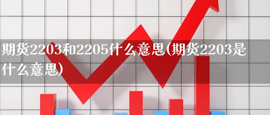 期货2203和2205什么意思(期货2203是什么意思)_https://www.tian1ad.com_铜期货_第1张