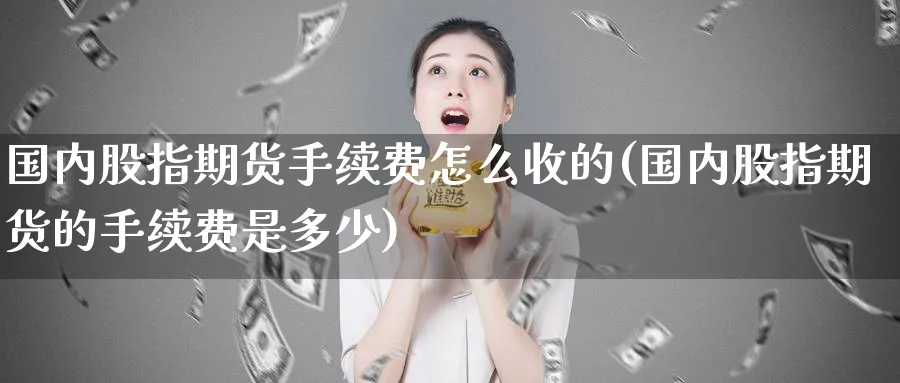 国内股指期货手续费怎么收的(国内股指期货的手续费是多少)_https://www.tian1ad.com_黄金直播室_第1张