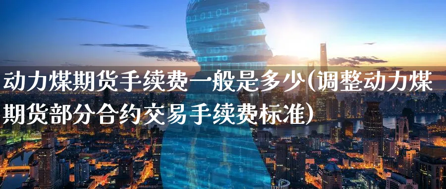 动力煤期货手续费一般是多少(调整动力煤期货部分合约交易手续费标准)_https://www.tian1ad.com_黄金期货_第1张