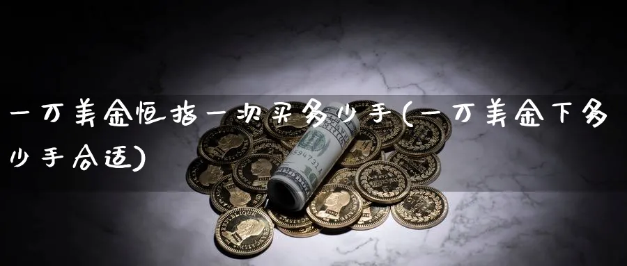 一万美金恒指一次买多少手(一万美金下多少手合适)_https://www.tian1ad.com_黄金期货_第1张
