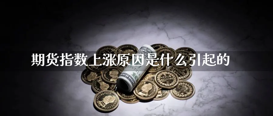 期货指数上涨原因是什么引起的_https://www.tian1ad.com_期货学院_第1张