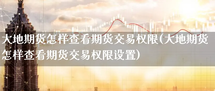 大地期货怎样查看期货交易权限(大地期货怎样查看期货交易权限设置)_https://www.tian1ad.com_期货学院_第1张
