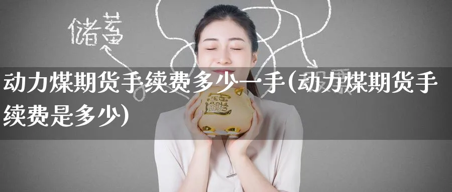 动力煤期货手续费多少一手(动力煤期货手续费是多少)_https://www.tian1ad.com_铜期货_第1张