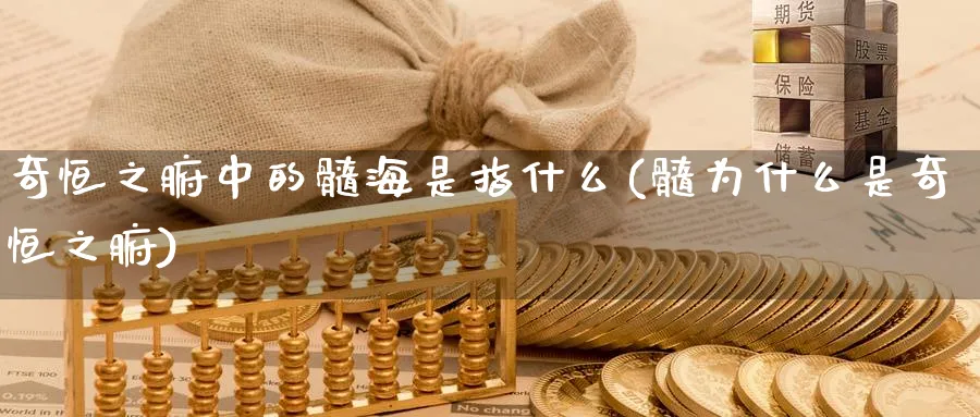奇恒之腑中的髓海是指什么(髓为什么是奇恒之腑)_https://www.tian1ad.com_铜期货_第1张