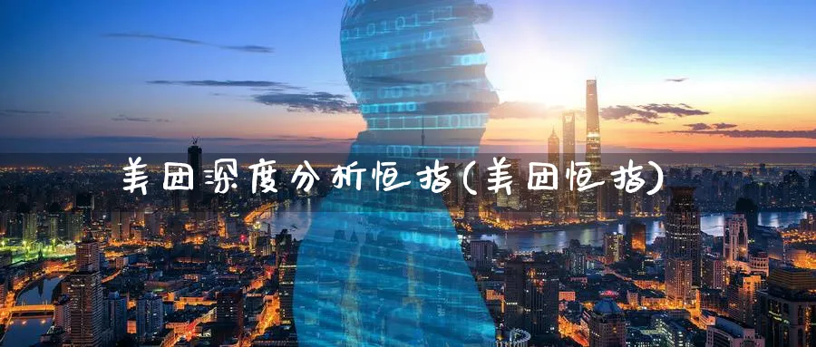 美团深度分析恒指(美团恒指)_https://www.tian1ad.com_期货学院_第1张