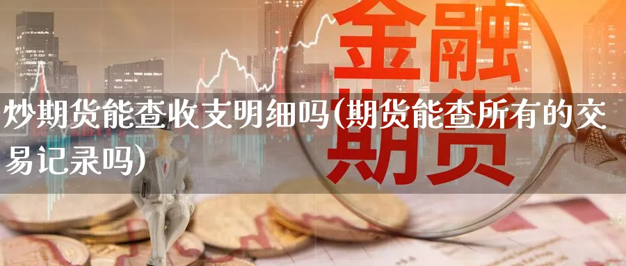 炒期货能查收支明细吗(期货能查所有的交易记录吗)_https://www.tian1ad.com_铜期货_第1张