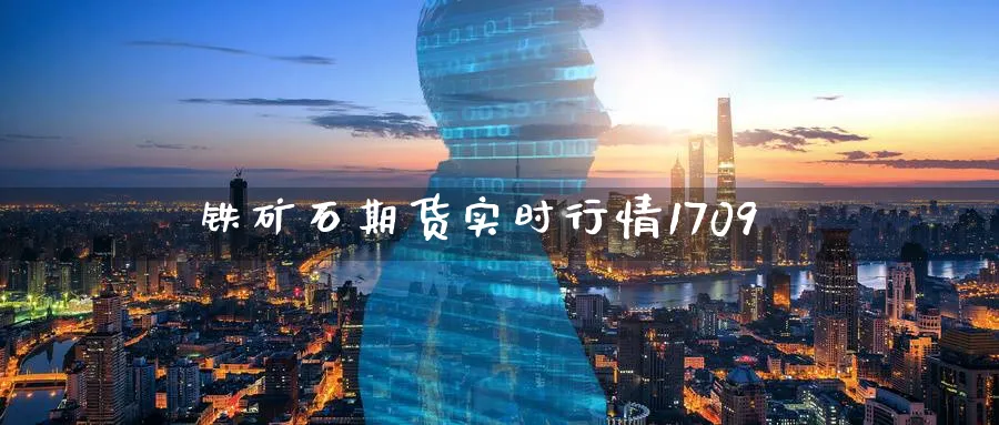 铁矿石期货实时行情1709_https://www.tian1ad.com_期货学院_第1张