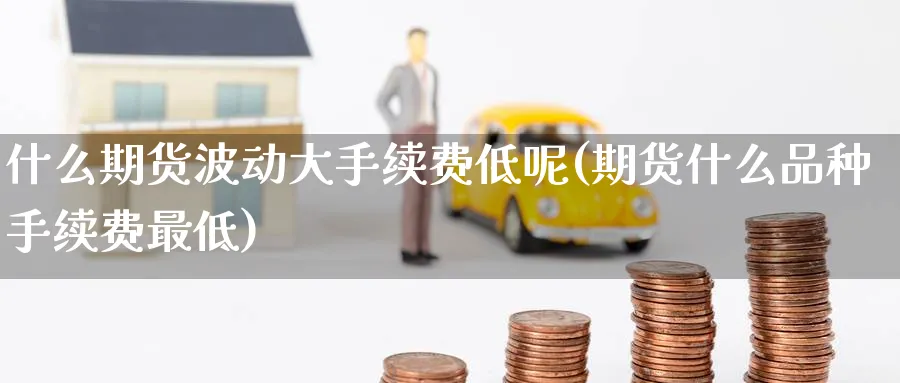 什么期货波动大手续费低呢(期货什么品种手续费最低)_黄金期货_第1张_黄金直播室 什么期货波动大手续费低呢(期货什么品种手续费最低)_https://www.tian1ad.com_黄金期货_第1张