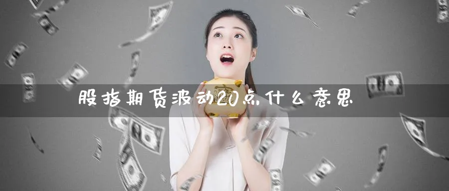 股指期货波动20点什么意思_https://www.tian1ad.com_铜期货_第1张