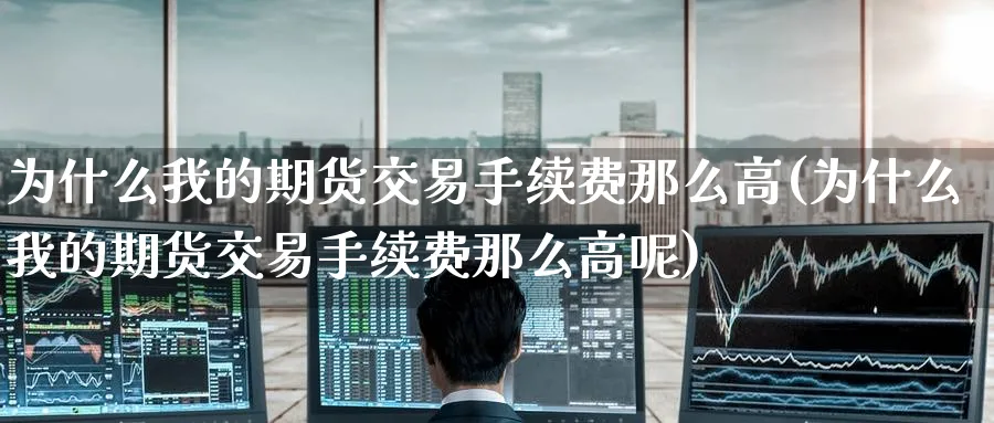 为什么我的期货交易手续费那么高(为什么我的期货交易手续费那么高呢)_https://www.tian1ad.com_期货学院_第1张