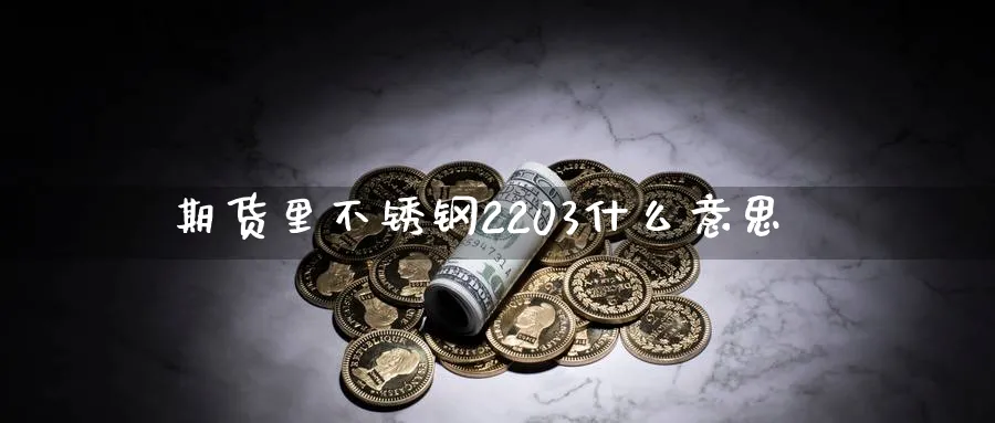 期货里不锈钢2203什么意思_https://www.tian1ad.com_黄金期货_第1张