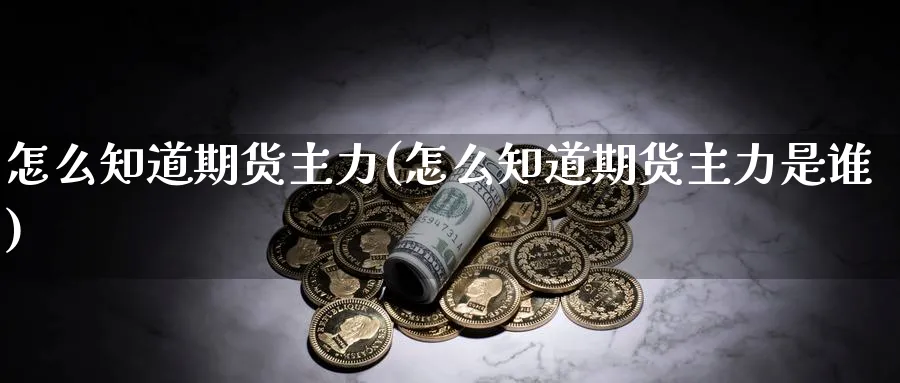 怎么知道期货主力(怎么知道期货主力是谁)_https://www.tian1ad.com_黄金期货_第1张