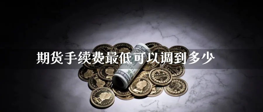 期货手续费最低可以调到多少_https://www.tian1ad.com_铜期货_第1张