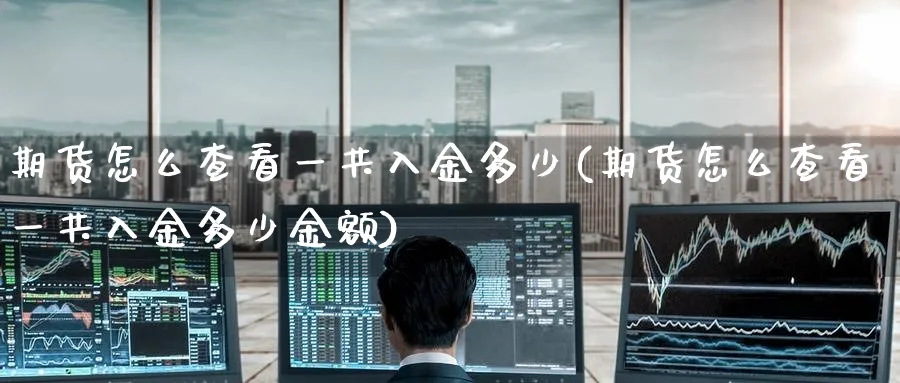 期货怎么查看一共入金多少(期货怎么查看一共入金多少金额)_https://www.tian1ad.com_铜期货_第1张