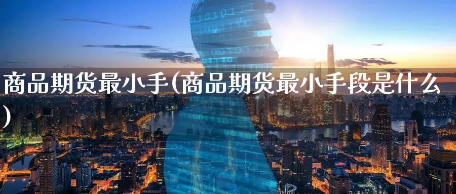 商品期货最小手(商品期货最小手段是什么)_https://www.tian1ad.com_黄金期货_第1张