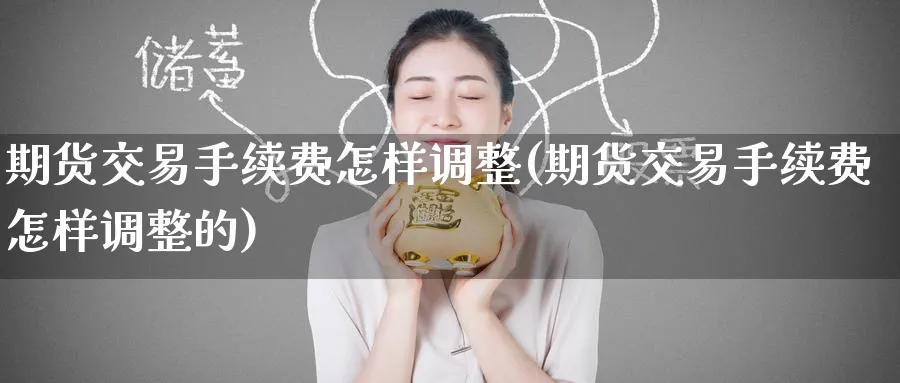 期货交易手续费怎样调整(期货交易手续费怎样调整的)_https://www.tian1ad.com_黄金期货_第1张