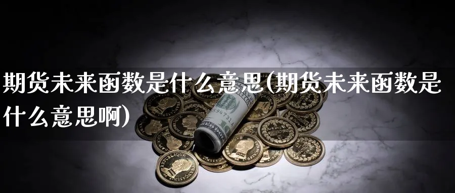 期货未来函数是什么意思(期货未来函数是什么意思啊)_https://www.tian1ad.com_黄金期货_第1张
