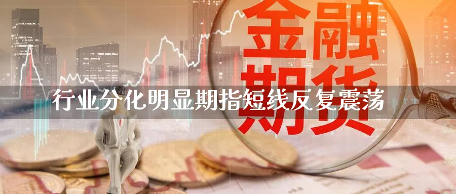 行业分化明显期指短线反复震荡_https://www.tian1ad.com_黄金期货_第1张