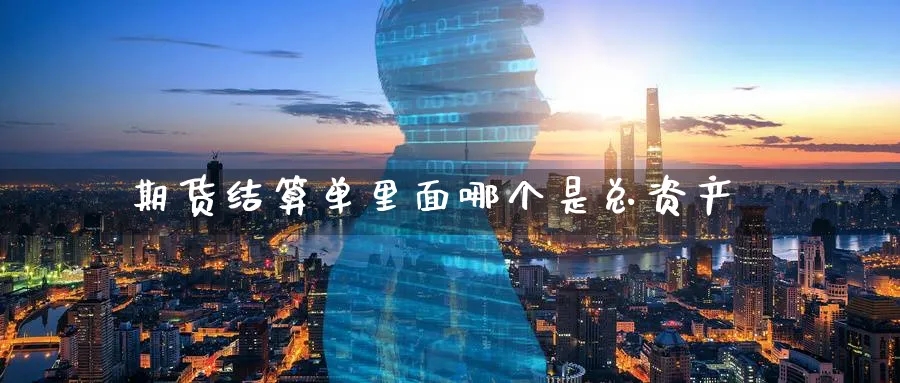 期货结算单里面哪个是总资产_https://www.tian1ad.com_期货学院_第1张