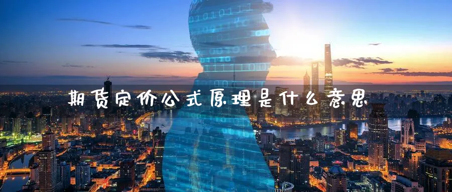 期货定价公式原理是什么意思_https://www.tian1ad.com_期货学院_第1张